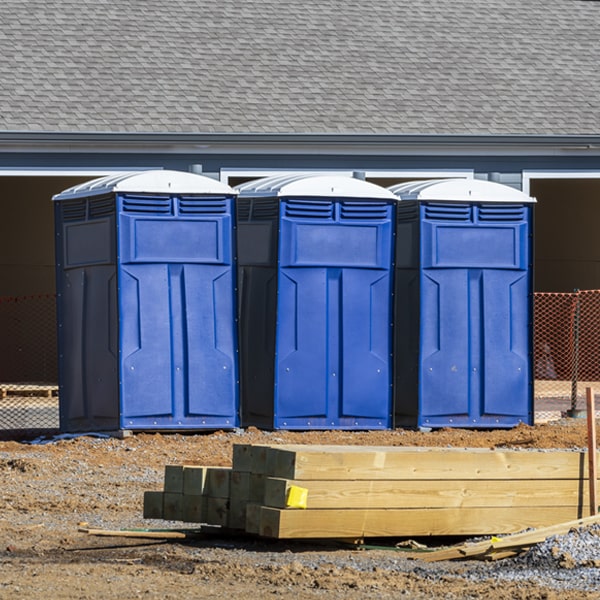 how often are the porta potties cleaned and serviced during a rental period in Leonardville